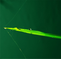 img-3