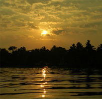 img-8